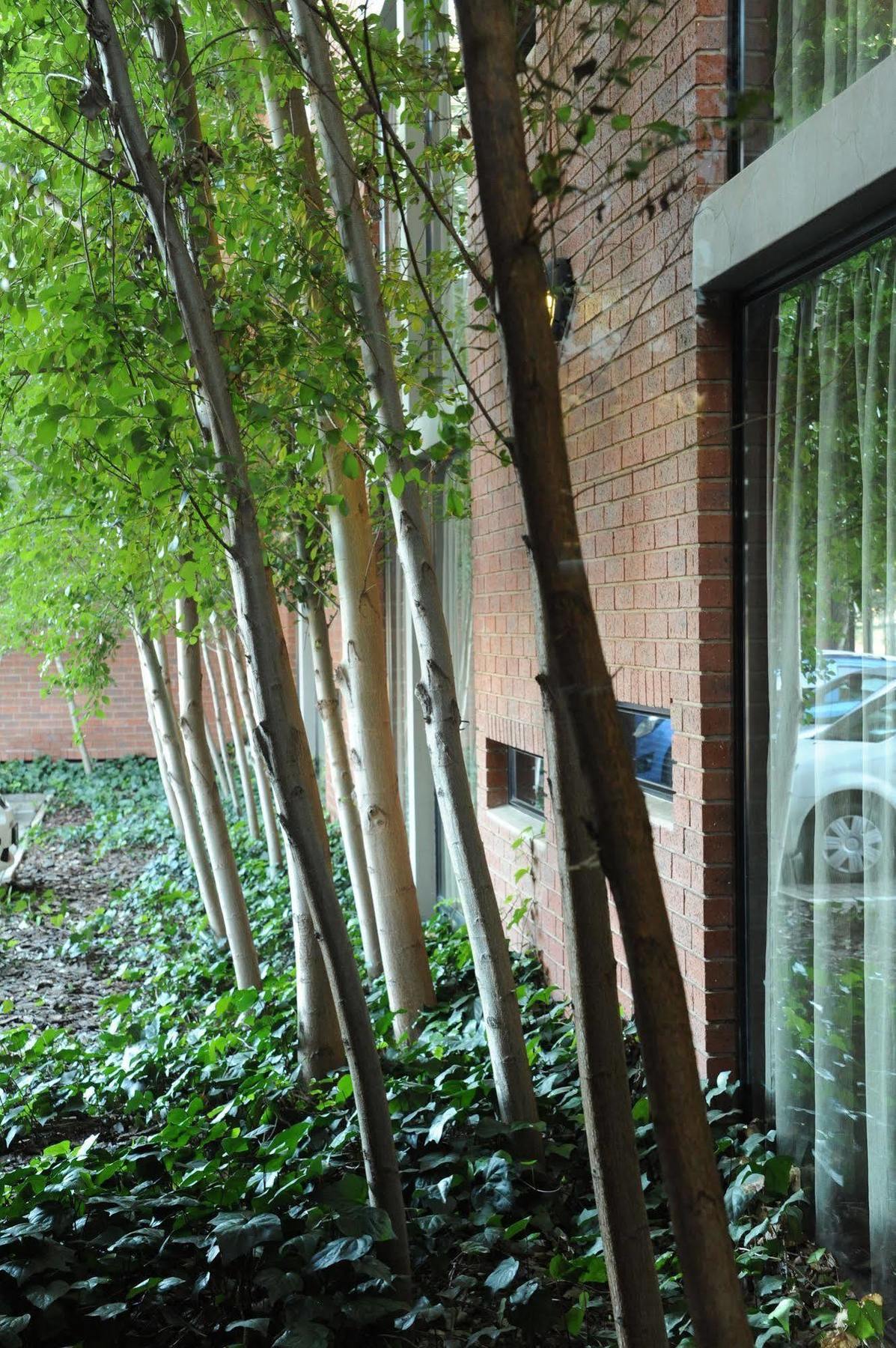 Aha Kathu Hotel エクステリア 写真
